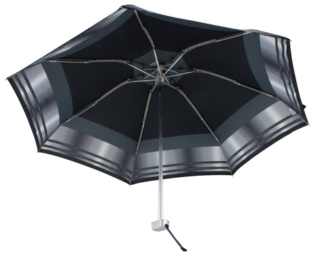 Parasol D-80