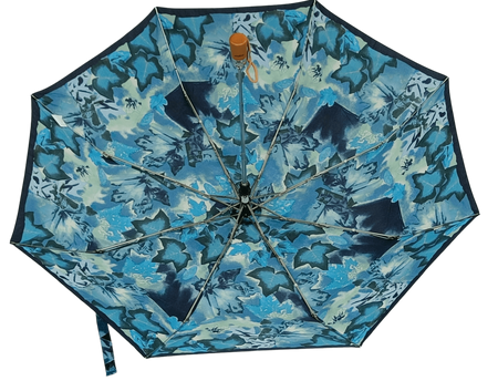Parasol D-73
