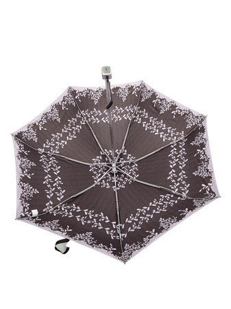 Parasol D-80
