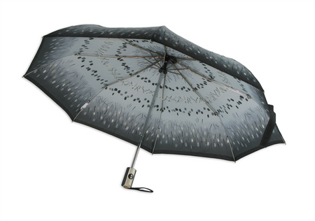 Parasol D-84