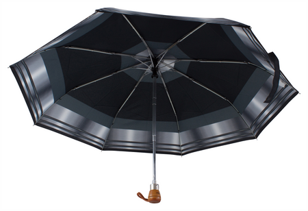 Parasol D-74