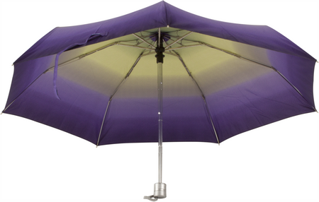 Parasol D-77