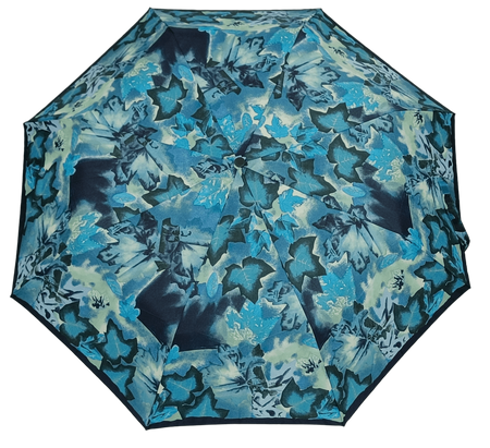 Parasol D-73