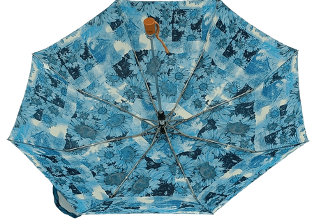 Parasol D-73