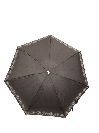 Parasol D-80