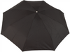 Parasol D-71