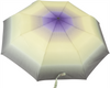 Parasol D-77