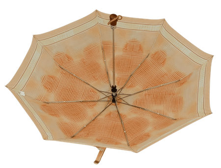 Parasol D-73