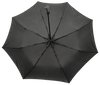 Parasol 223