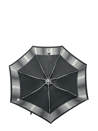Parasol D-80
