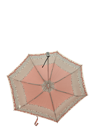 Parasol D-80