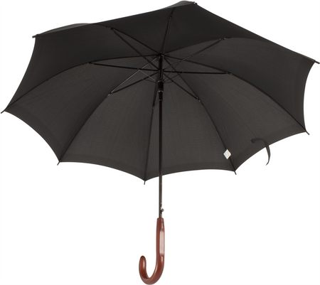 Parasol L-56D / m4