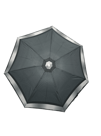 Parasol D-80