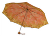 Parasol D-68D