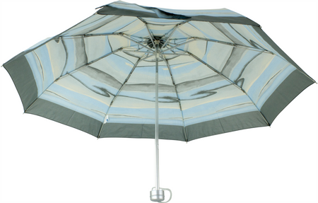 Parasol D-84