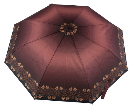 Parasol D-74