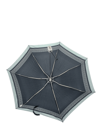 Parasol D-80