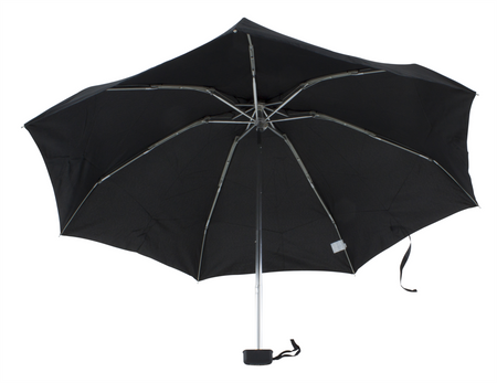Parasol D-79