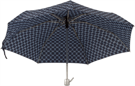 Parasol D-77