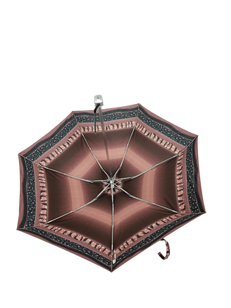 Parasol D-80