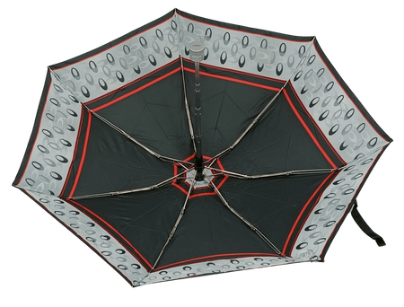Parasol D-77