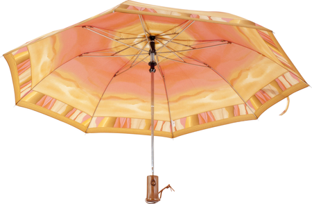 Parasol D-73