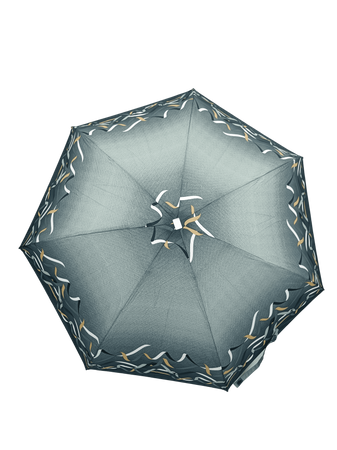 Parasol D-80