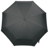 Parasol 223