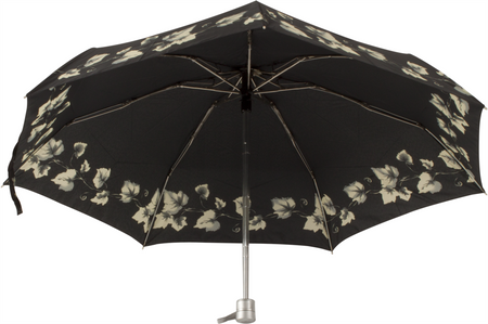 Parasol D-77