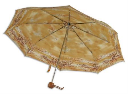 Parasol D-68D