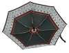 Parasol D-77