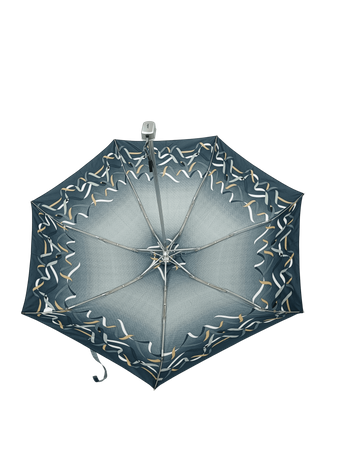 Parasol D-80