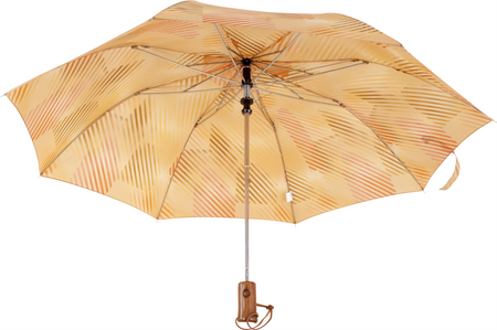 Parasol D-68D