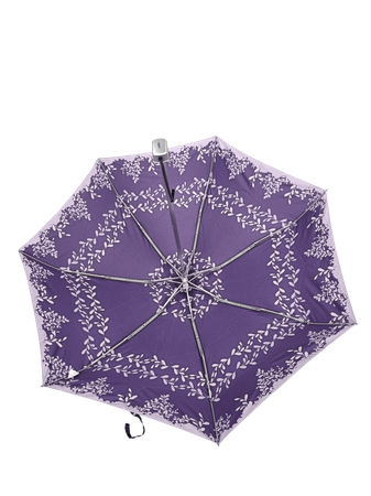 Parasol D-80
