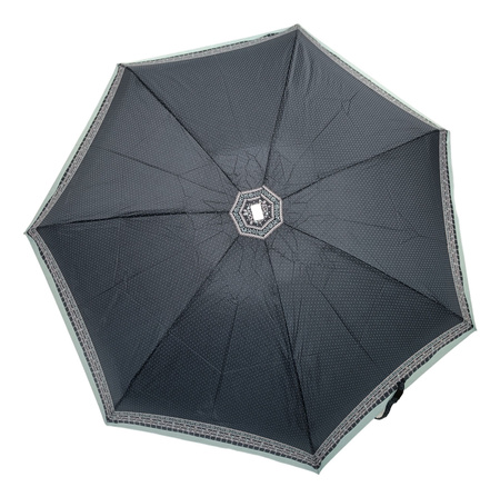 Parasol D-80