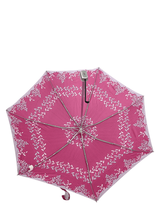 Parasol D-80