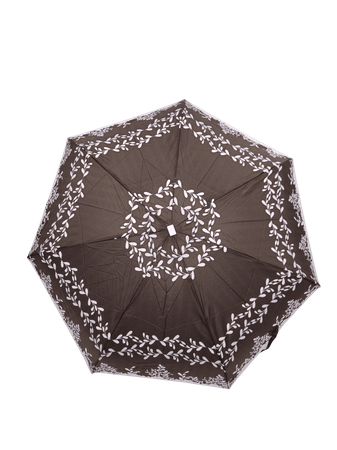 Parasol D-80