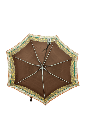Parasol D-80