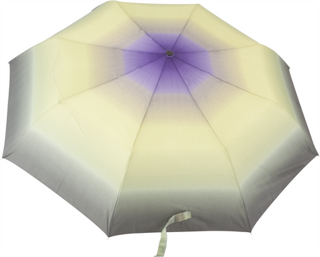 Parasol D-77