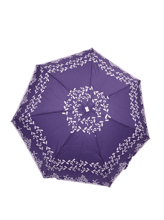 Parasol D-80