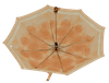 Parasol D-73