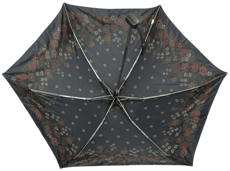 Parasol D-85C